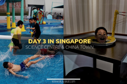 Good Times at Singapore Science Centre and Song Fa Bak Kut Teh at China Town Day 3 in SG